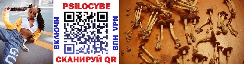 Псилоцибиновые грибы Psilocybine cubensis  Ковров 